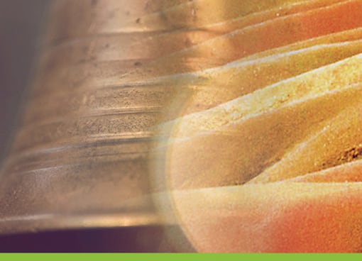 Qigong Energiearbeit in der Natur